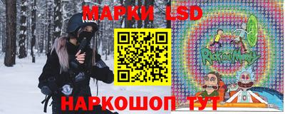 амф Гусь-Хрустальный