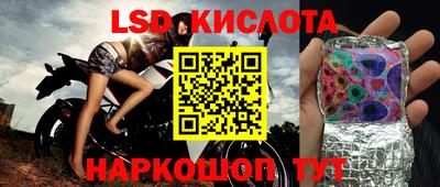 a pvp Гусев
