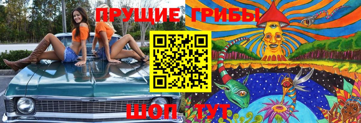 Каспийск  Псилоцибиновые грибы Cubensis  Вход с VPN 