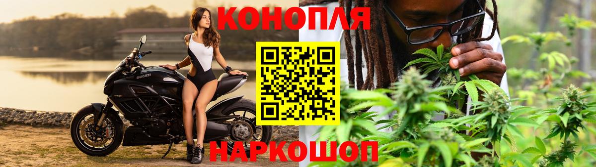 Шишки марихуана гибрид Каспийск
